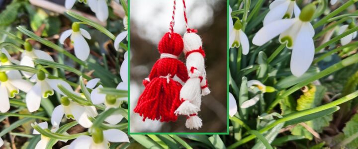 Poveste de primăvară – începuturi